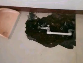 利津卫生间测漏水多少钱