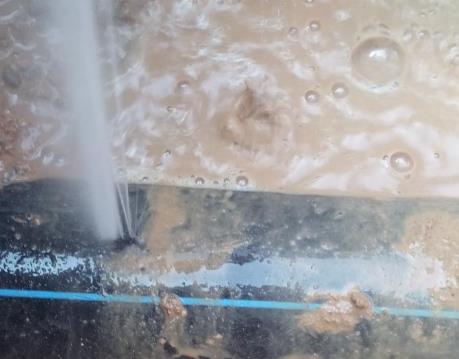 利津卫生间防水哪家好